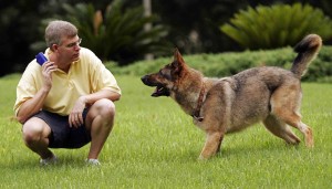 dog training1